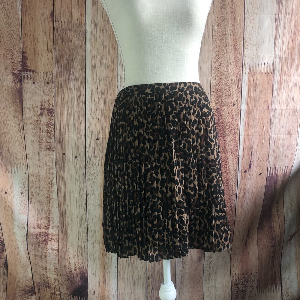JCrew Pleated Skirt